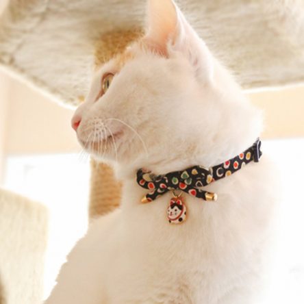 Buterfly Bowknot Cat Collar With Lovely Cat Charm