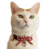 CC-HF-CBSJ-RED-cat4
