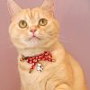 CC-HF-CBSJ-RED-cat5