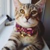 CC-HF-QCYH-PUR_cat1