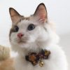 CC-HF-QCYH-PUR_cat2