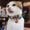 cat-ZSJ-DM-2000