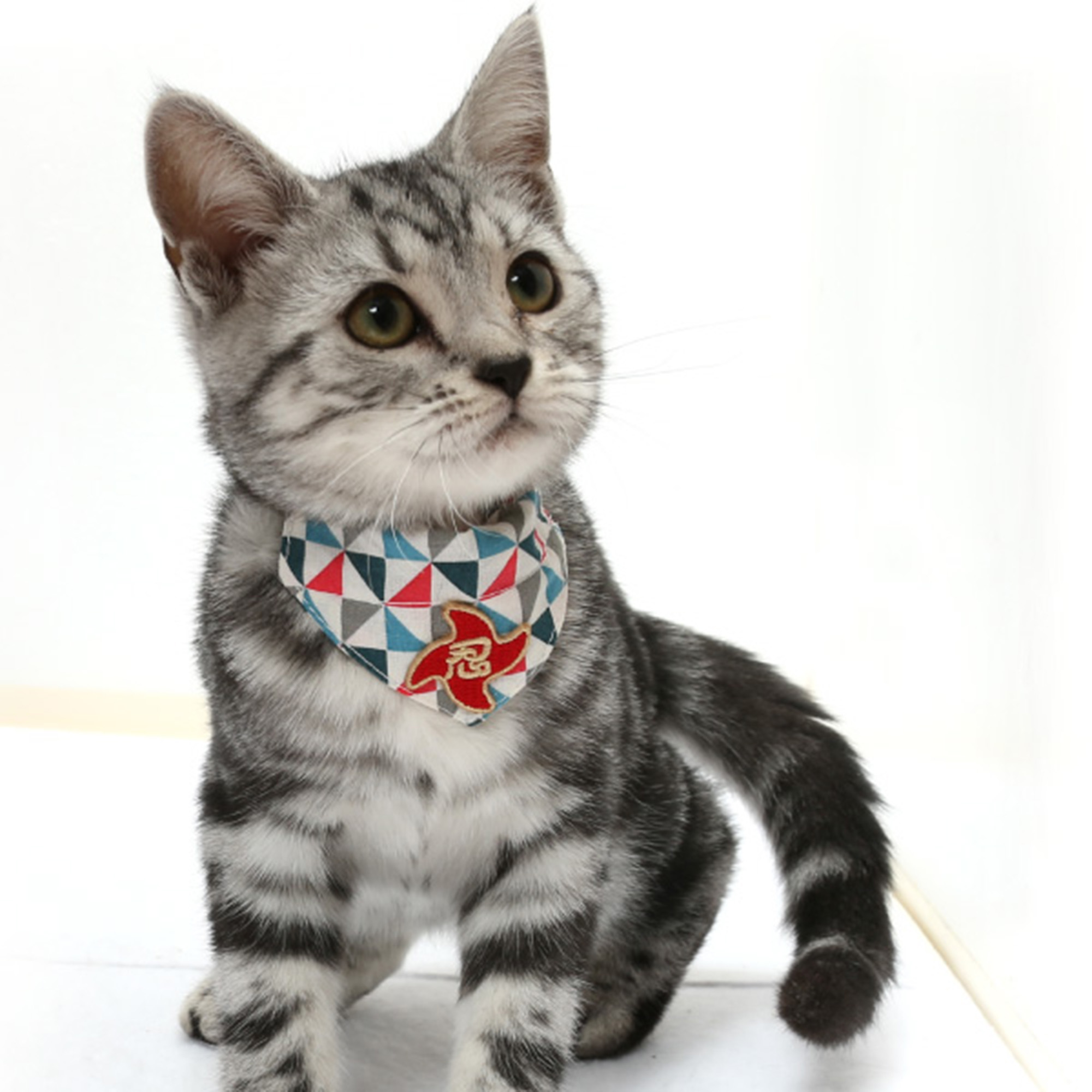 cat-sjj-rz-2000 cat-sjj-rz-2000