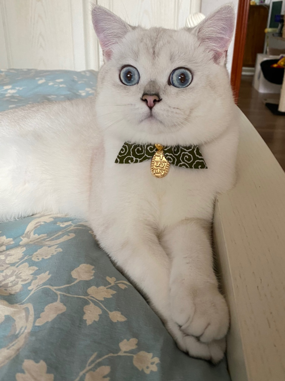 绿-1000 绿-1000